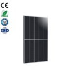 550W Risen Bifacial Mono Module